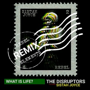 What is Life? (Rebel Elements Remix)