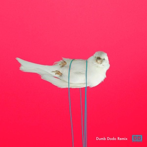 4000Hz (Dumb DoDo Remix)