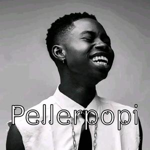 Pellerpopi (feat. PELLER) (Explicit)