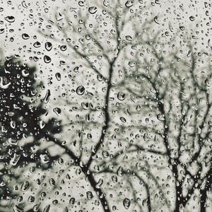 Summer Rains