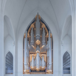 Austral (Remix by Geins't Naït)