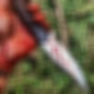 Shadow of the axe