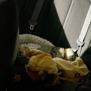 scoreboard (Explicit)