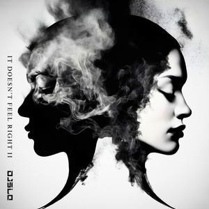 IT DOESN'T FEEL RIGHT II (Explicit)