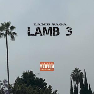 LAMB 3 (Explicit)