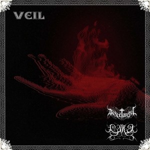 veil (prod. by detect angel & cara)