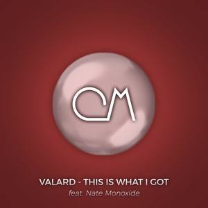 This Is What I Got (feat. Nate Monoxide)