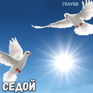 Я парнишка седой