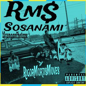 IDGAF (feat. GhostDahGoat) (Explicit)