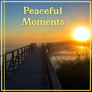 Peaceful Moments: Meditation & Relaxation Healing Music & Pure Massage & Yoga