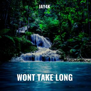 Wont Take Long (Explicit)