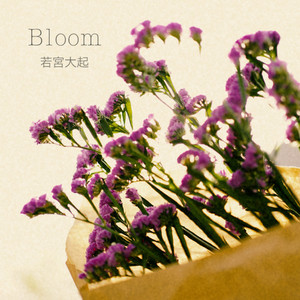 Bloom