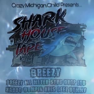 catalina flow (feat. lil Vonnie) (Explicit)