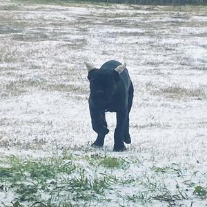 Promoting no Violence(feat. Kd2tiimes)