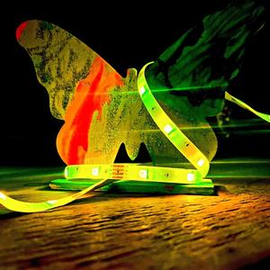 Forgotten Dreams (Explicit)