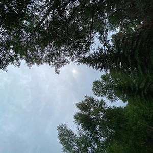 I Don't Want To(feat. Billy Macadamia & Bello)