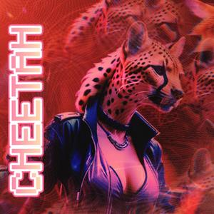 CHEETAH (Explicit)