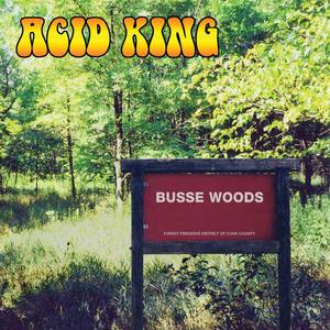 Busse Woods