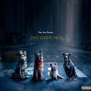 Four Vicious Strays (4VS) (Explicit)