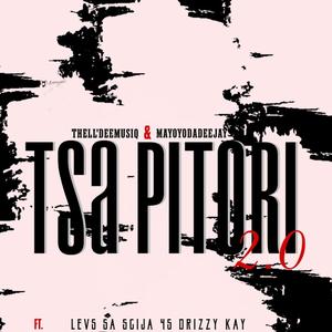 TSA PITORI remix