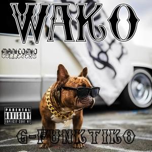 Maniciomio Fino (feat. Mr. Trippalot) (Explicit)