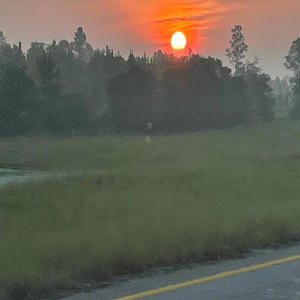 Shine (feat. R3APER) (Explicit)