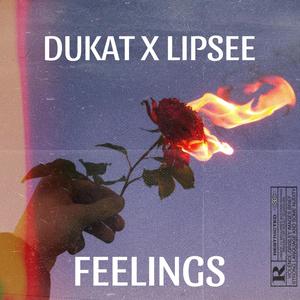 FEELINGS<3 (feat. Lil lipsee) [Explicit]