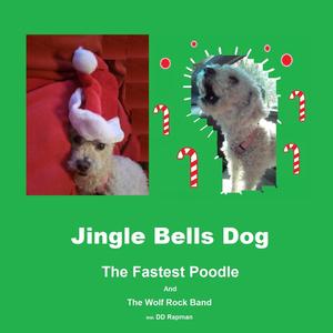 Jingle Bells Dog