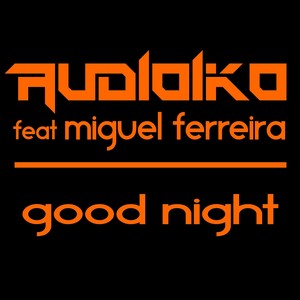 Good Night (feat. Miguel Ferreira)