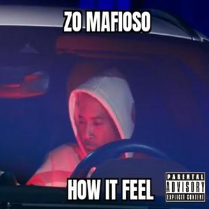 HOW IT FEEL (feat. Dreadhead ced) (Explicit)