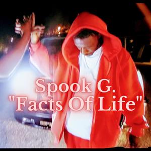 Facts Of Life (Explicit)