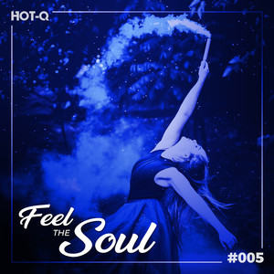 Question My Love (Adam Sommer Soulful Deep Remix)
