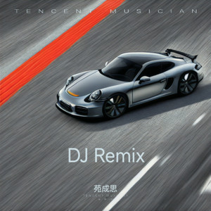 那滋味 (苑成思 remix)