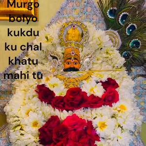 Murgo bolyo kukdu ku chal khatu mahi tu