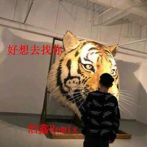 说散就散-泪鑫