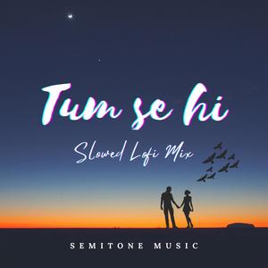 Tum Se Hi