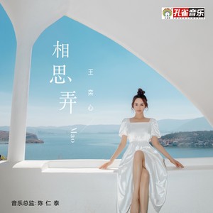 王奕心 - 相思弄 (伴奏)