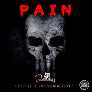 Pain (feat. JayFromWolvez) [Explicit]