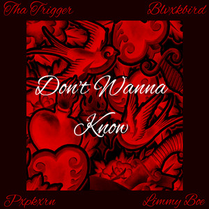 Don't Wanna Know (Explicit)