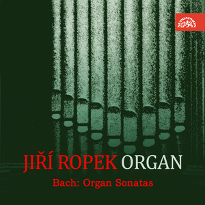 Organ Sonata No. 1 in E-Flat Major, BWV 525 - II. Adagio