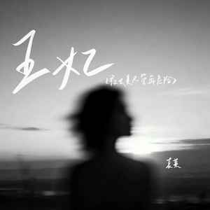 王妃（夜太美尽管再危险）封面