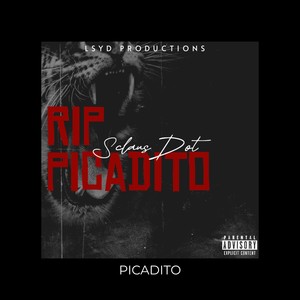RIP PICADITO-SclausDot (Explicit)