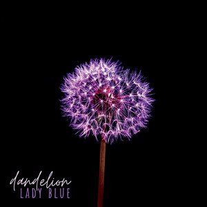 Dandelion (Explicit)