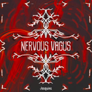 Nervous Vagus