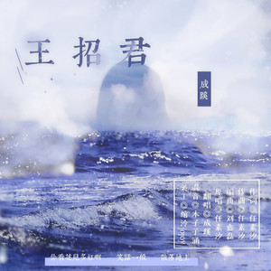 王招君