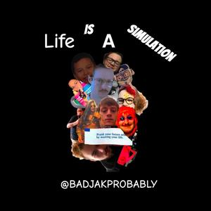 Life Is A Simulation (Explicit)