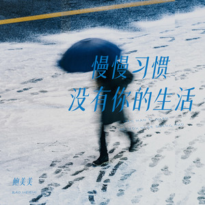 慢慢习惯没有你的生活