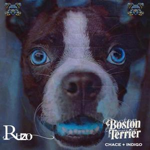 Boston Terrier (feat. Lil Indigo) (Explicit)