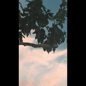 MOVE OUT (feat. Roobin) (Explicit)