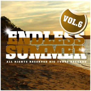 Endless Summer, Vol. 6